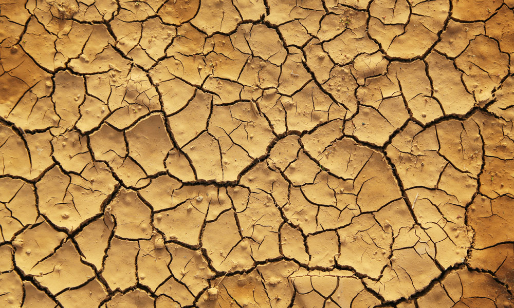 Une carence en eau provoque rapidement une  déshydratation plus ou moins grave.